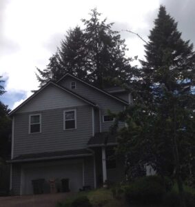 A Residential White Gutter Installation by Affordable Roofing & Gutter Company in Albany, Oregon