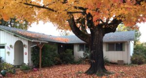 A Residential White Gutter Installation by Affordable Roofing & Gutter Company in Lebanon, Oregon