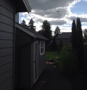 A Residential White Gutter Installation by Affordable Roofing & Gutter Company in Lebanon, Oregon